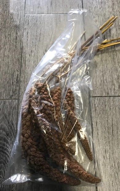 Franske Røde Hirsekolber 10 stk
